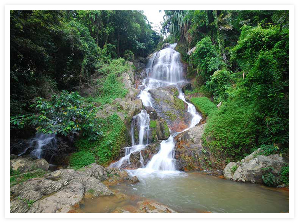 สถานที่ท่องเที่ยวเกาะสมุย ปะการังงาม น้ำทะเลใส หาดทรายขาว มะพร้าวเยอะ