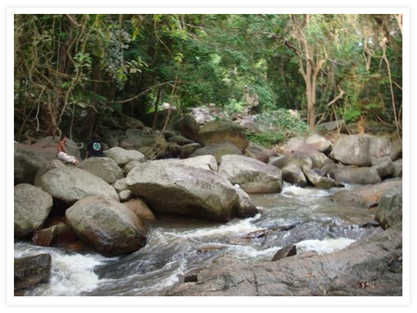 สถานที่ท่องเที่ยวเกาะสมุย ปะการังงาม น้ำทะเลใส หาดทรายขาว มะพร้าวเยอะ