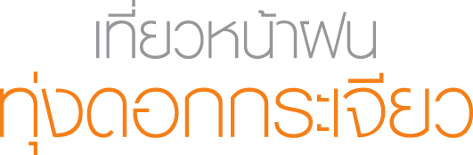 เที่ยวหน้าฝนที่ทุ่งดอกกระเจียว จ.ชัยภูมิ