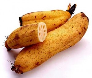 เอนไซม์จากรากบัวหลวง ช่วยในการหายใจให้สะดวกขึ้น การทำงานของปอดมีประสิทธิภาพมากขึ้นและช่วยในการเผาผลาญอาหารและพลังงานทำให้ดีขึ้น